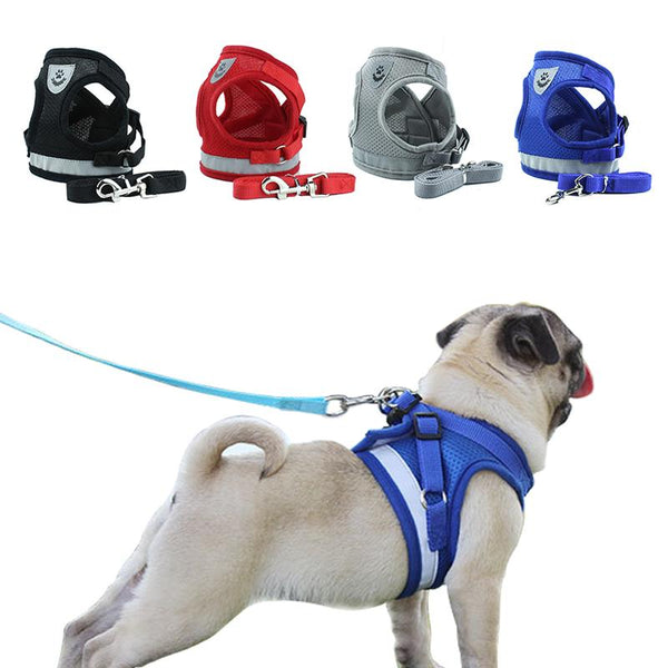 Puppy Chest Strap Pet accessories