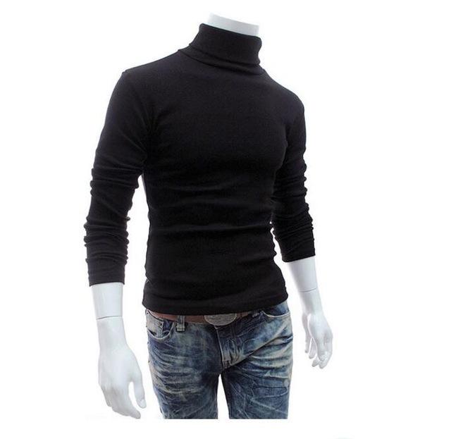 Autumn Winter Casual Sweater Turtleneck