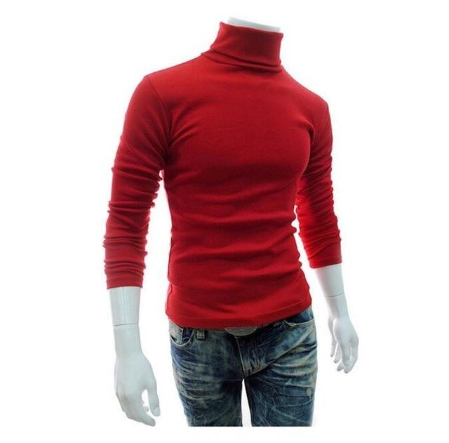 Autumn Winter Casual Sweater Turtleneck